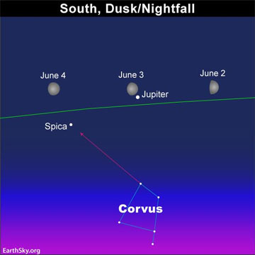 The Moon conjuncts Jupiter exactly on June 3 at 6:44 PM Pacific! It will be beautiful that evening! See them and Corvus, the Crow, just below them.